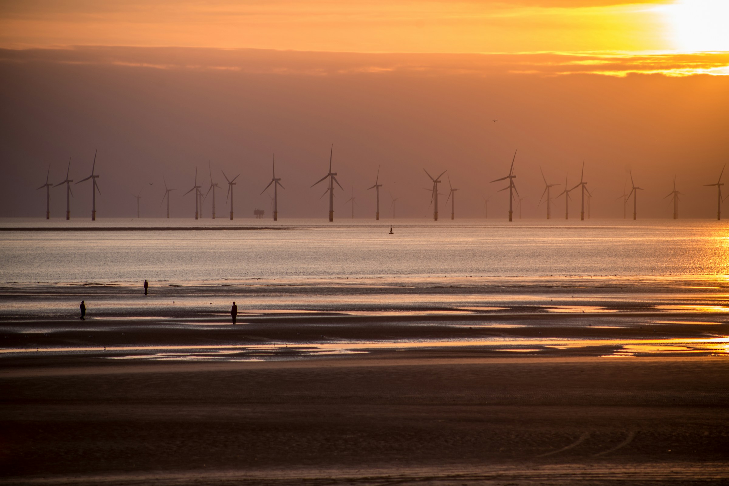 Offshore Wind Plants